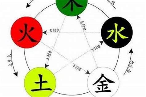 硨磲五行|【硨磲 五行】想知道自己的幸運手串嗎？快來測測你的硨磲五行。